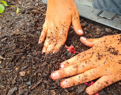 Healthy Soil Workshop